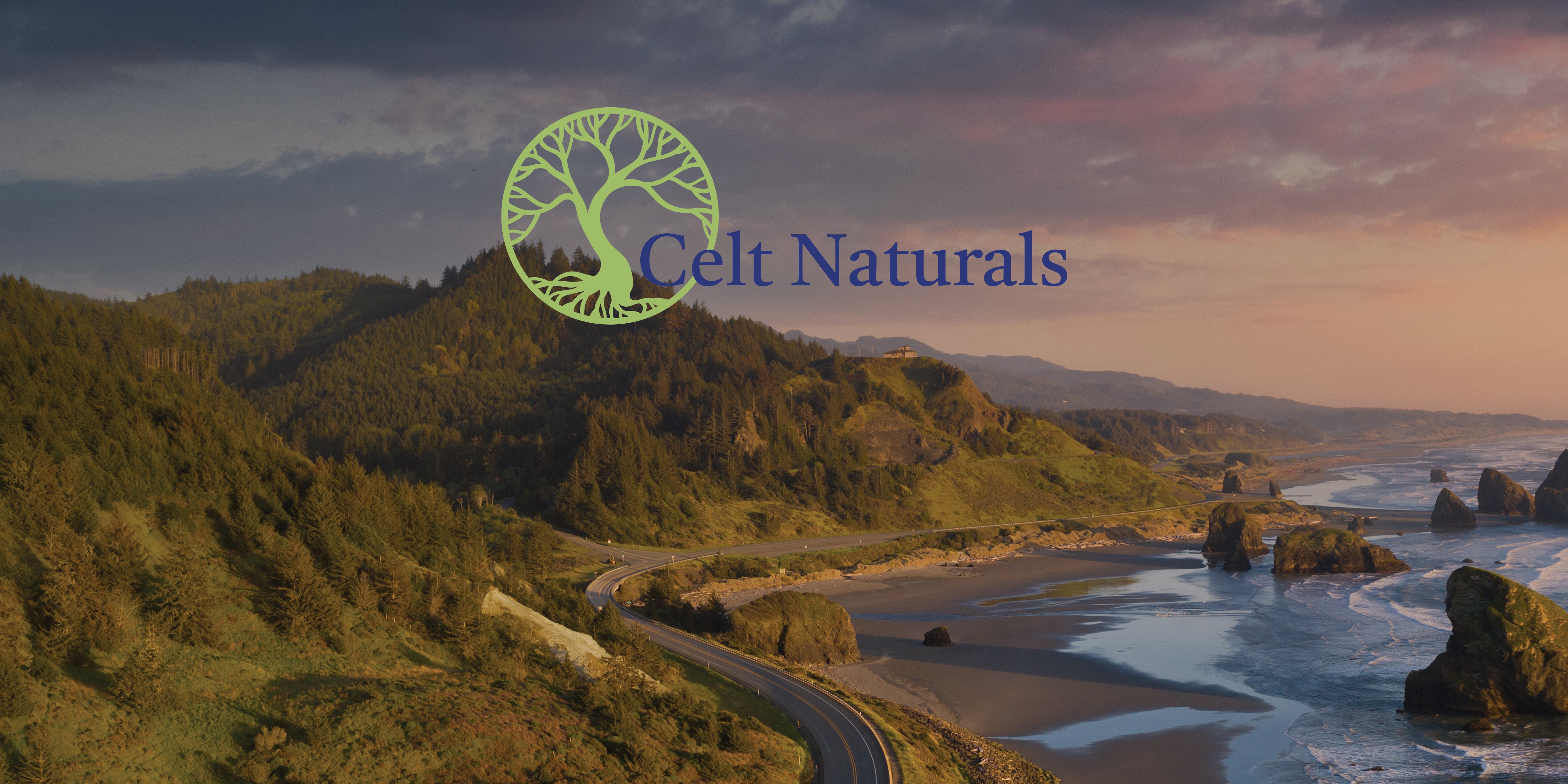 landscape of ocean and mountains int he Pacific Northwest.  Celt naturals, Immuno-care, sterochol, best allergy medicine for adults Best otc Allergy Medicine, natural statin, Statin alternative
