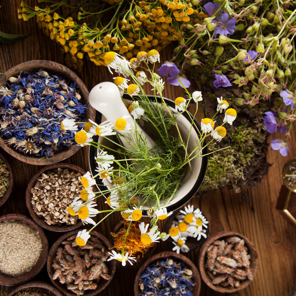 Table with natural herbs and flowers. Celt Naturals all natural supplements best allergy medications