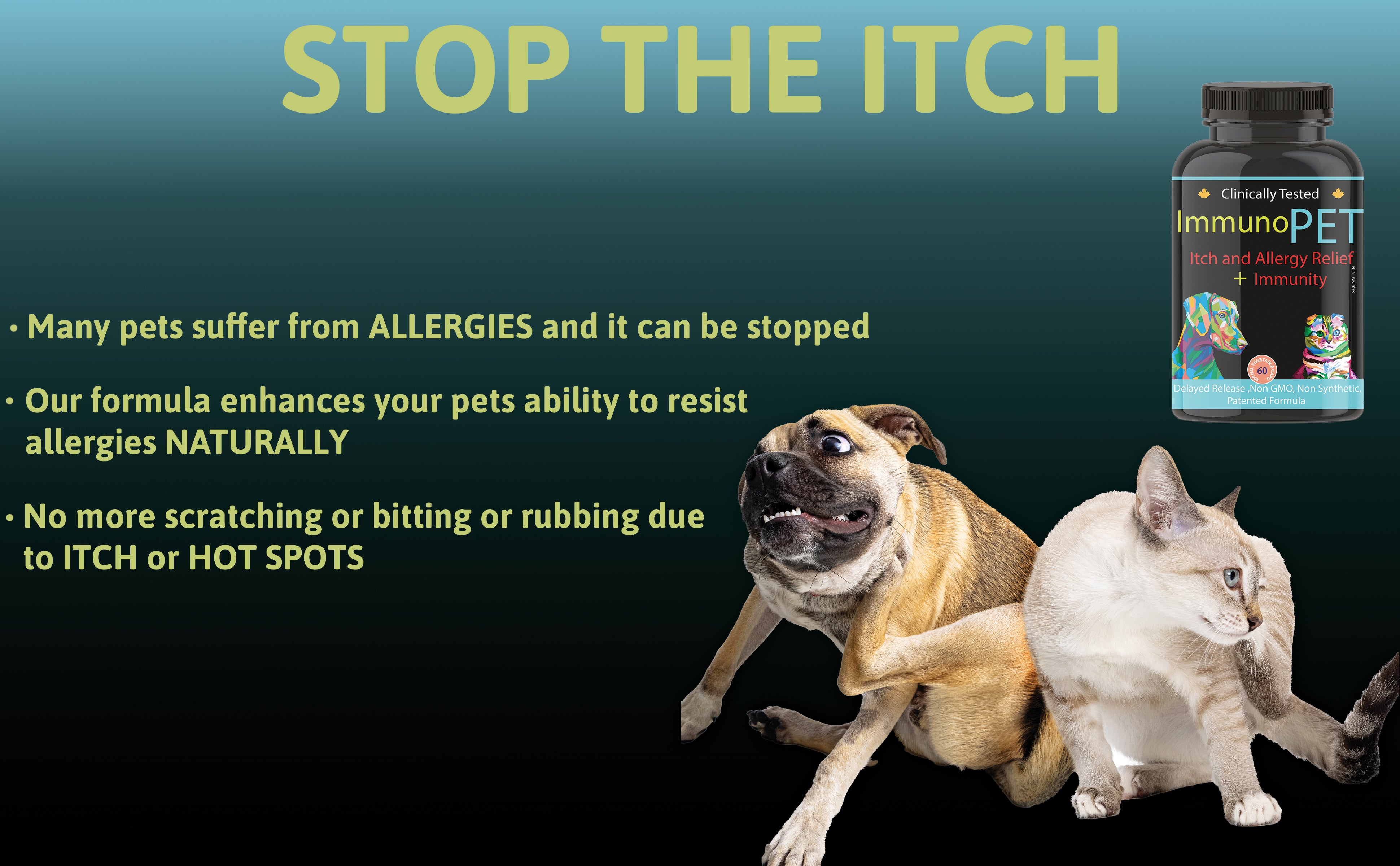 Dog and Cat scratching themselves. Pet immunity, pet vitamins, hot spots and itchiness.