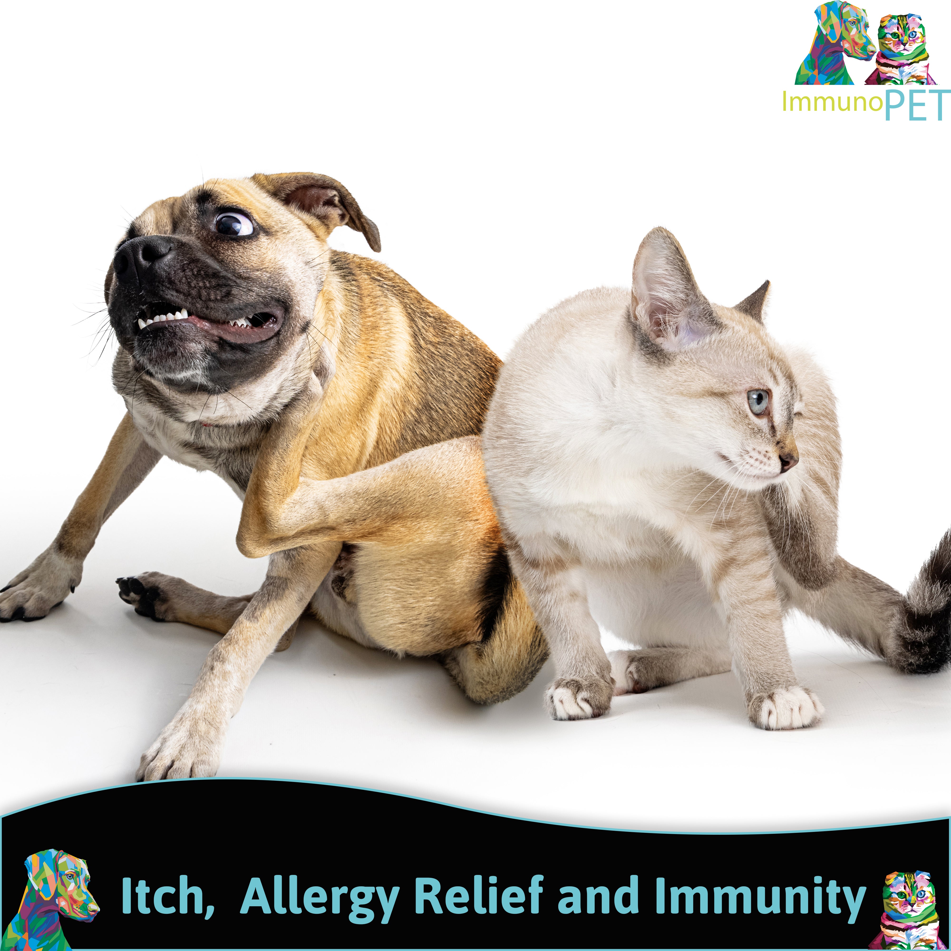 Dog and Cat Scratching and Itching themselves. Pet immunity, pet vitamins, hot spots and itchiness and scratching relief.